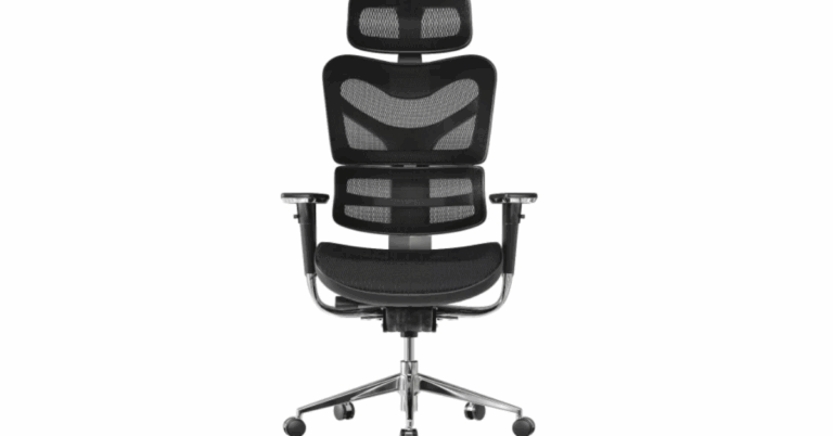 Hinomi Vs NextChair: Which Ergonomic Chair Is the Best for You?